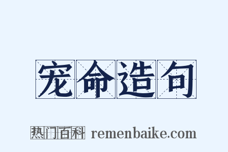 宠命造句是什么意思的图片